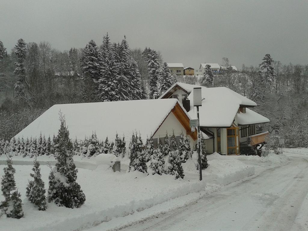 Dzt-Schwarzwaldhotel Garni Unterkirnach Экстерьер фото